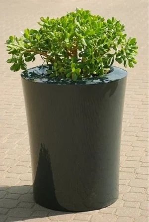 Donica GARAFIA M