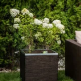 Donica kwadratowa z systemem nawadniania GREEN SPA - Ogrodolandia.pl