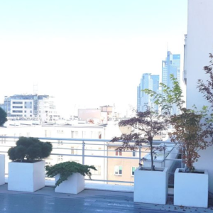 Duża donica betonowa 80x40x80 cm (h)