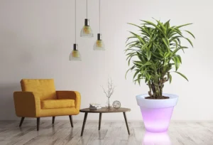 Wielka donica podświetlana GRANDE LED