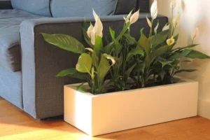 Donica Pure Wall 20