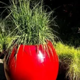 cfa2a47a64de5d837e0fa34adcc26b5b