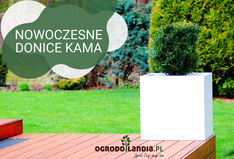 Donice Kama