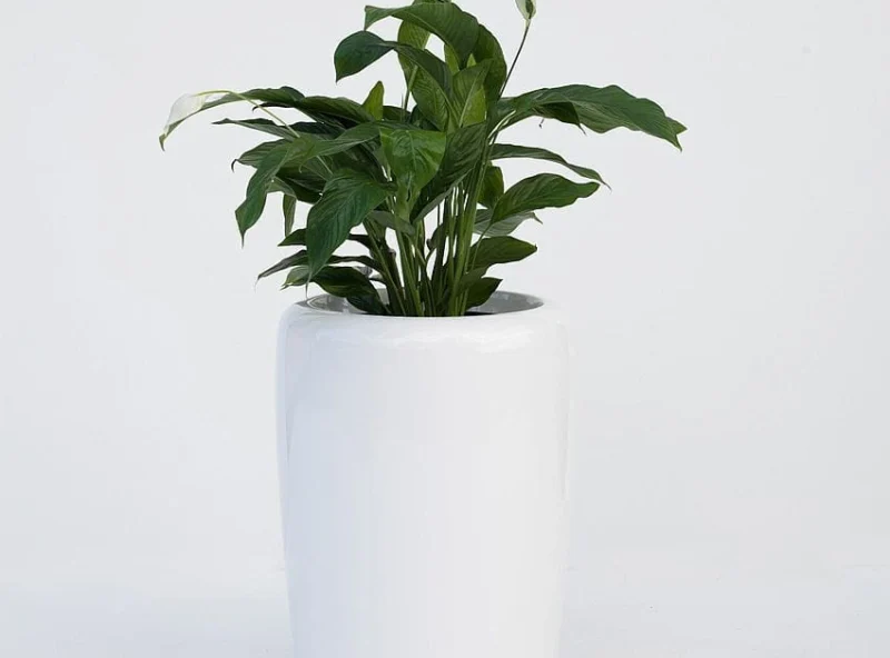 Elegancka donica TRACINO L  - Ogrodolandia.pl