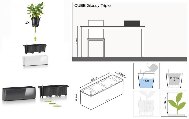 Lechuza Cube Glossy Triple