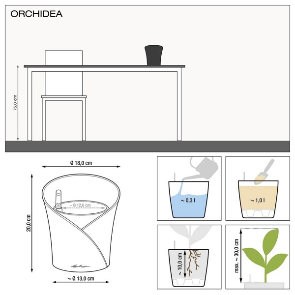 Lechuza Orchidea